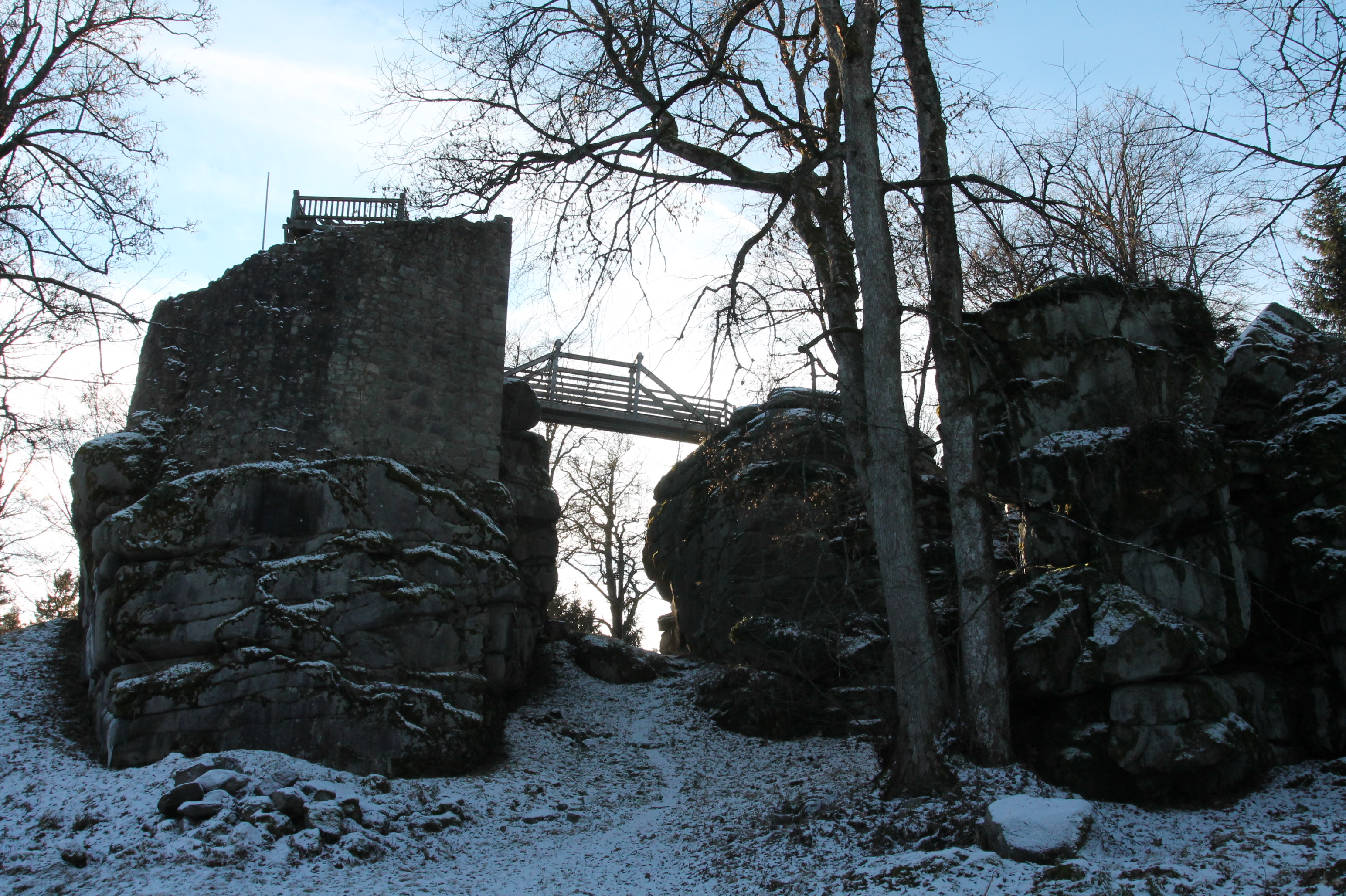 Burgruine Schellenberg 2016 (1) – OWV Georgenberg