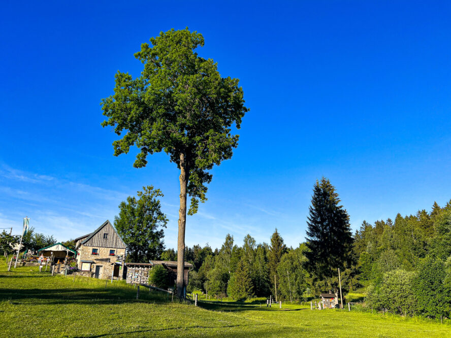 Alte Mühle Gehenhammer